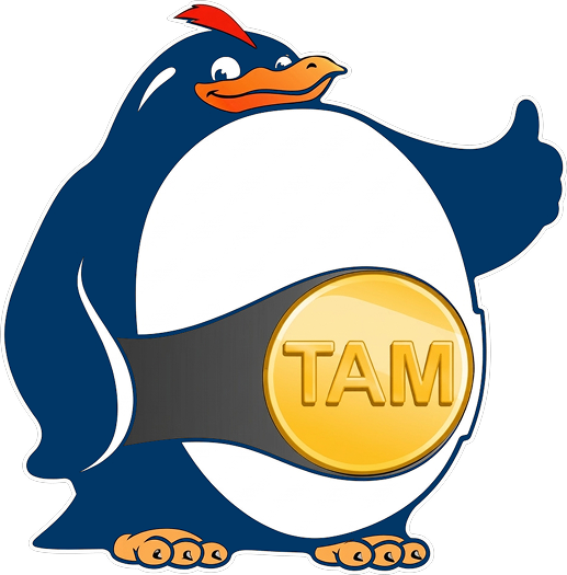 Термо Авто Мастер